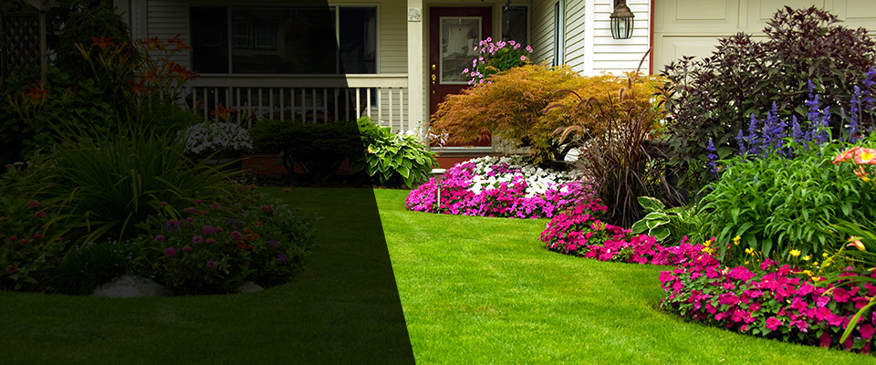 Rainsville Landscapers