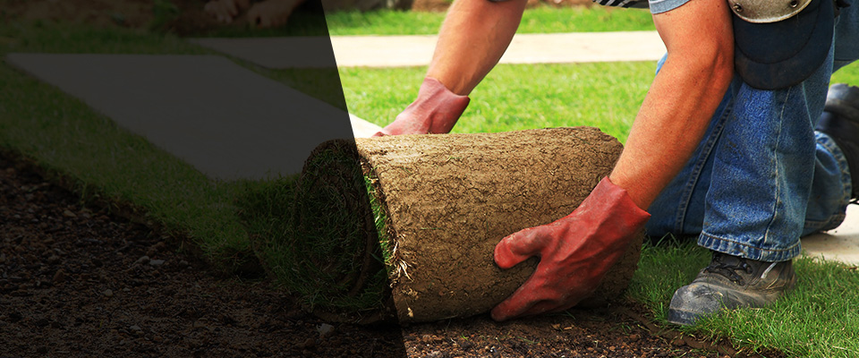 Rainsville Landscapers